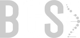 logo-bgsi-gray.png