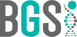 logo-bgsi-main.png